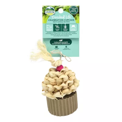 Product Oxbow Enriched Life CupcakeToy