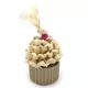 Product Oxbow Enriched Life CupcakeToy