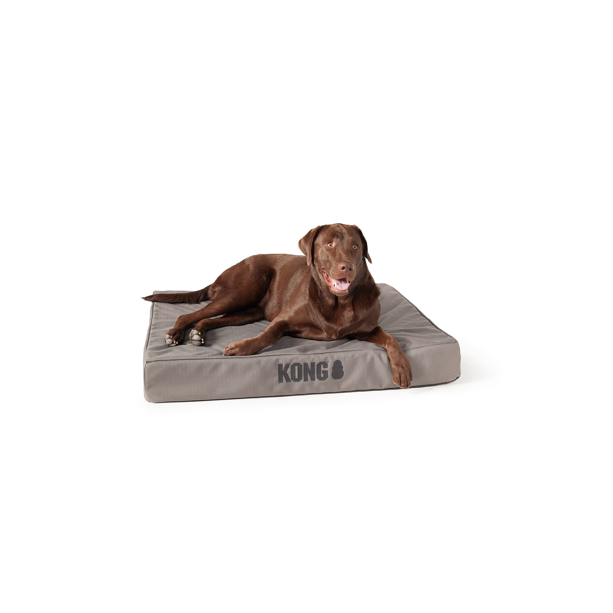 kong dog bed cleaning