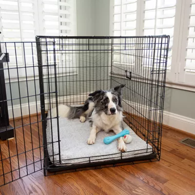 Petsmart crate pads hotsell