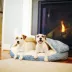 Snoozer® Premium Cozy Cave® Dog Bed image thumbnail 2
