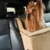Snoozer® High-back Console Lookout® Dog Car Seat image thumbnail 2