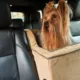 Product Snoozer® High-back Console Lookout® Dog Car Seat