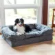 Product Snoozer® Forgiveness Dog Sofa Dog Bed