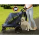 Product Pet Gear NO-ZIP Excursion Pet Stroller