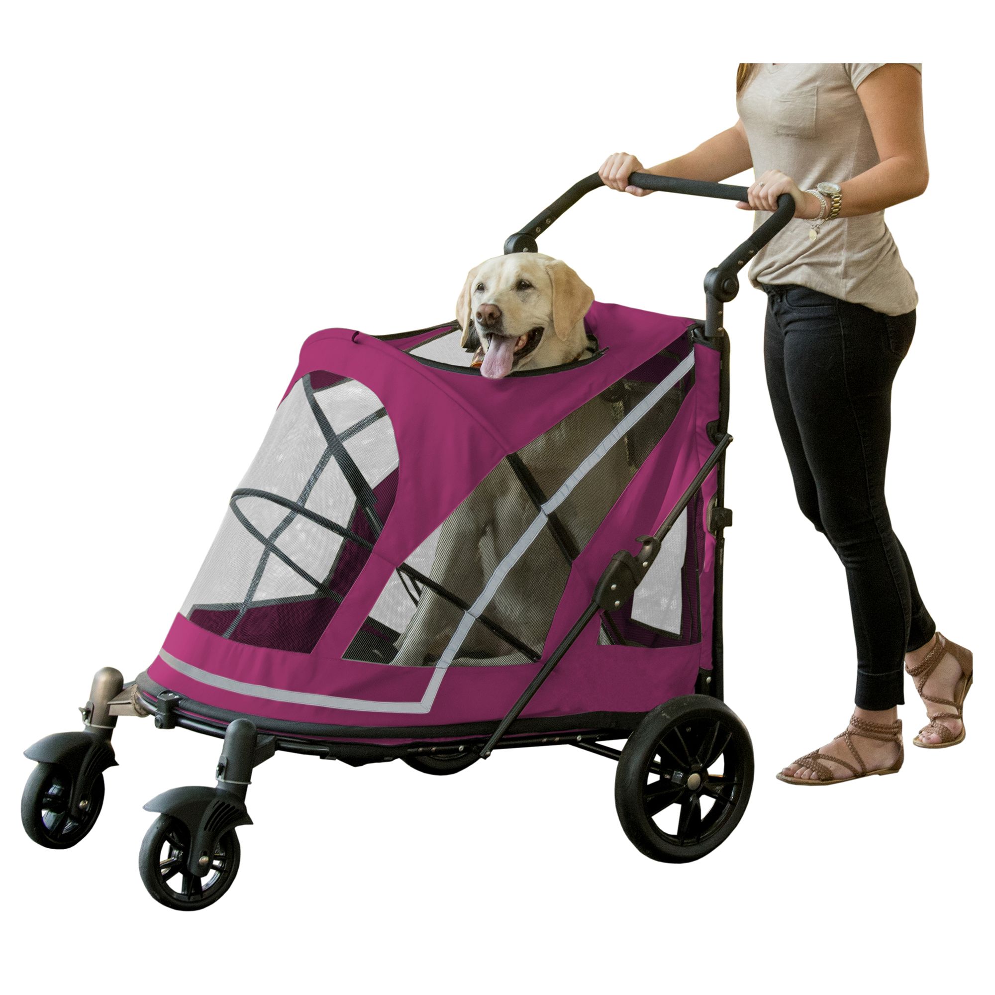 petsmart dog strollers in store