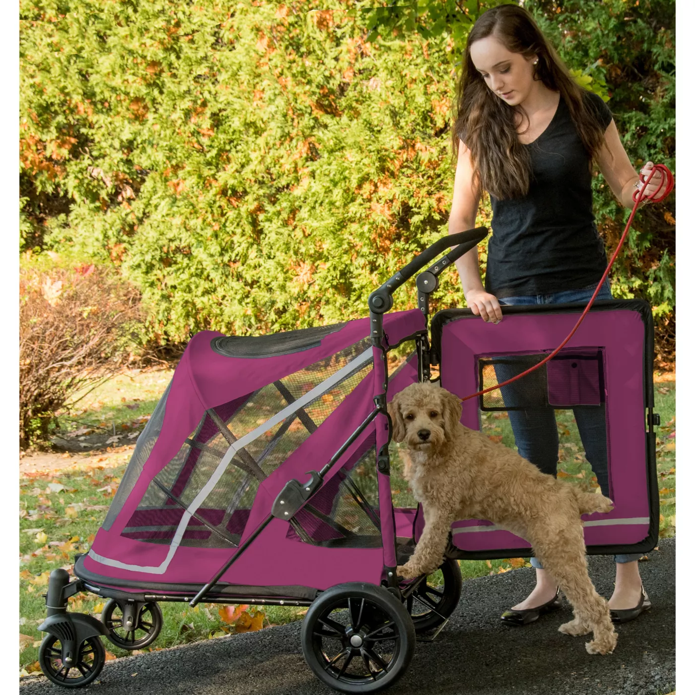 Groupon pet stroller best sale