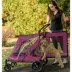 Pet Gear NO-ZIP Expedition Pet Stroller image thumbnail 4