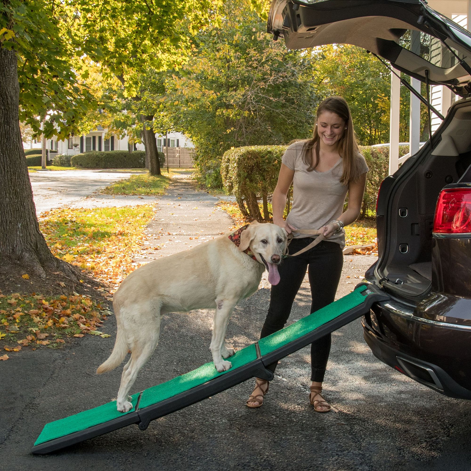 Pet Gear Tri Fold Lite Pet Ramp With Supertrax Trade Dog Ramps Steps Petsmart