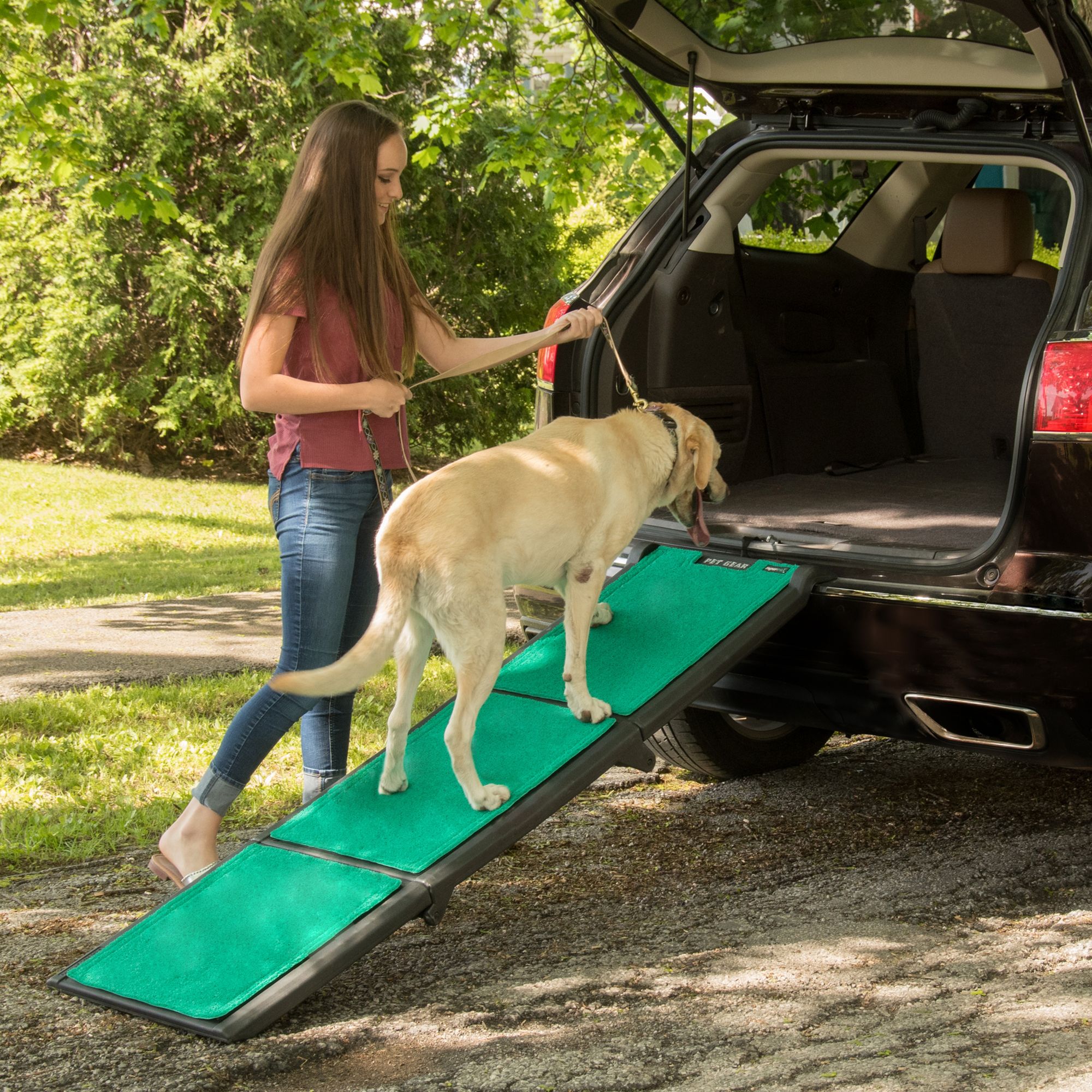 Petsmart dog ramp hotsell