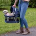 Pet Gear VIEW 360 Pet Carrier image thumbnail 3