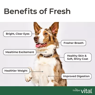 Product Freshpet® Vital™ Grain Free Chicken All Life Stage Dog Food