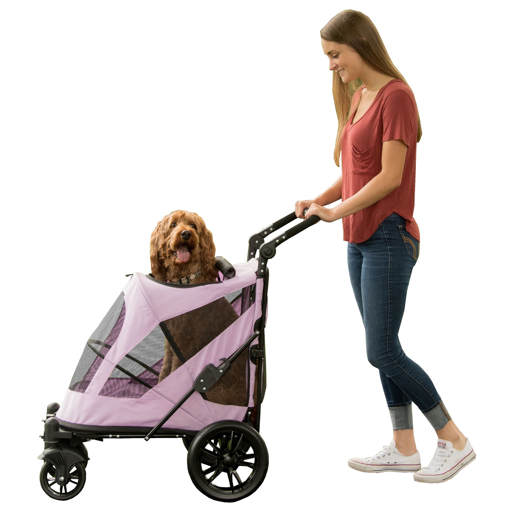 Dog strollers 2025 petsmart canada