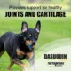 Product Nutramax® Dasuquin® with MSM - Soft Chew Joint Health Supplement for Large Dogs - 84 Count