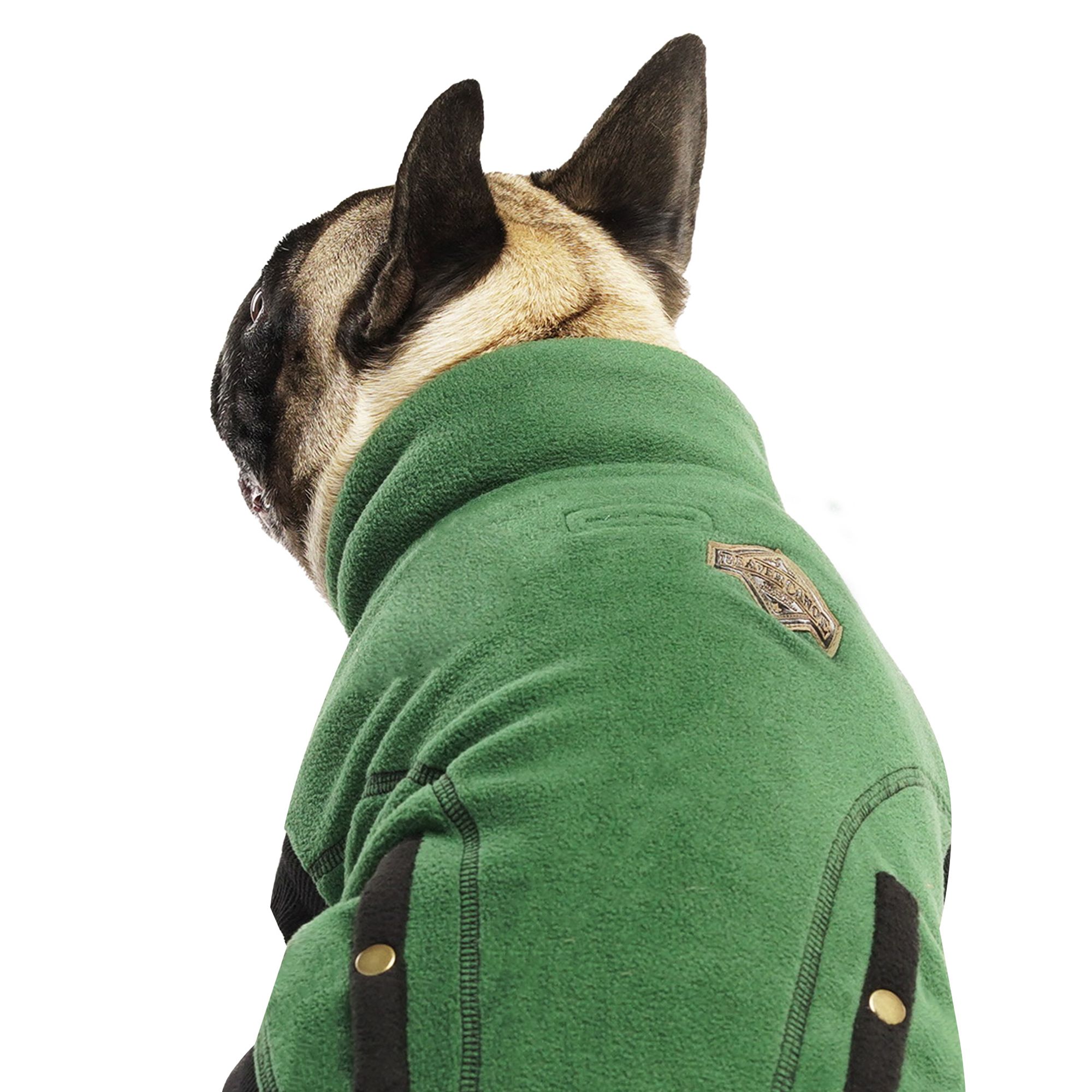 beaver canoe dog apparel