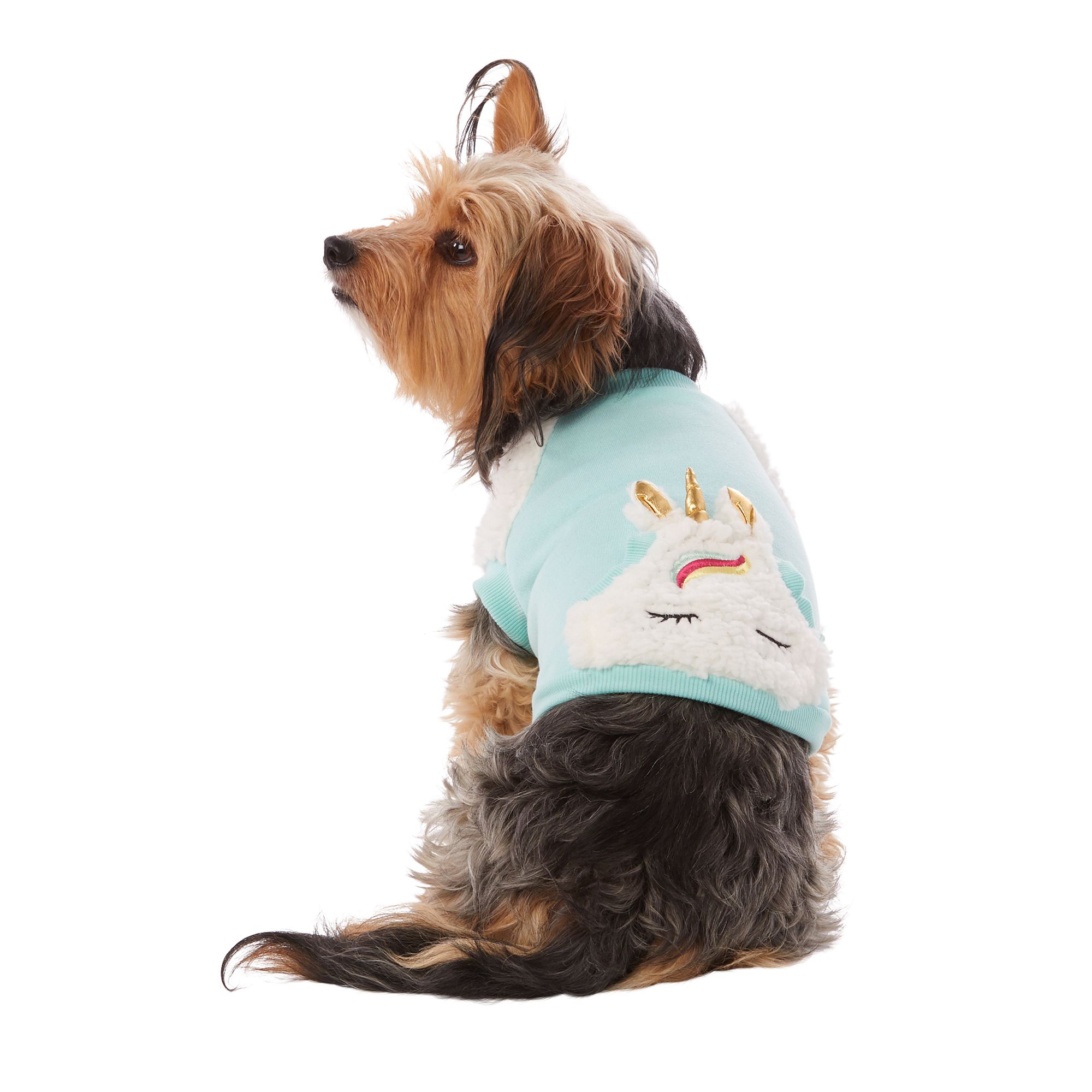 pet sweatshirt