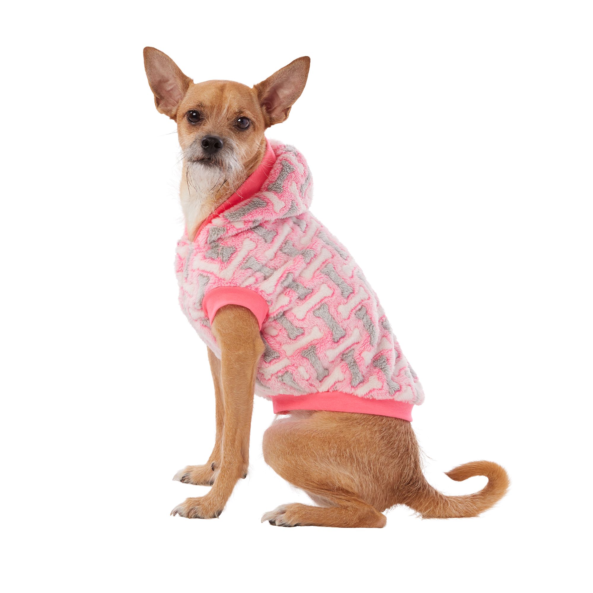 petsmart dog jackets