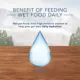Product Blue Buffalo® Wilderness™ Adult Treat Cat Food - Natural, Chicken & Trout