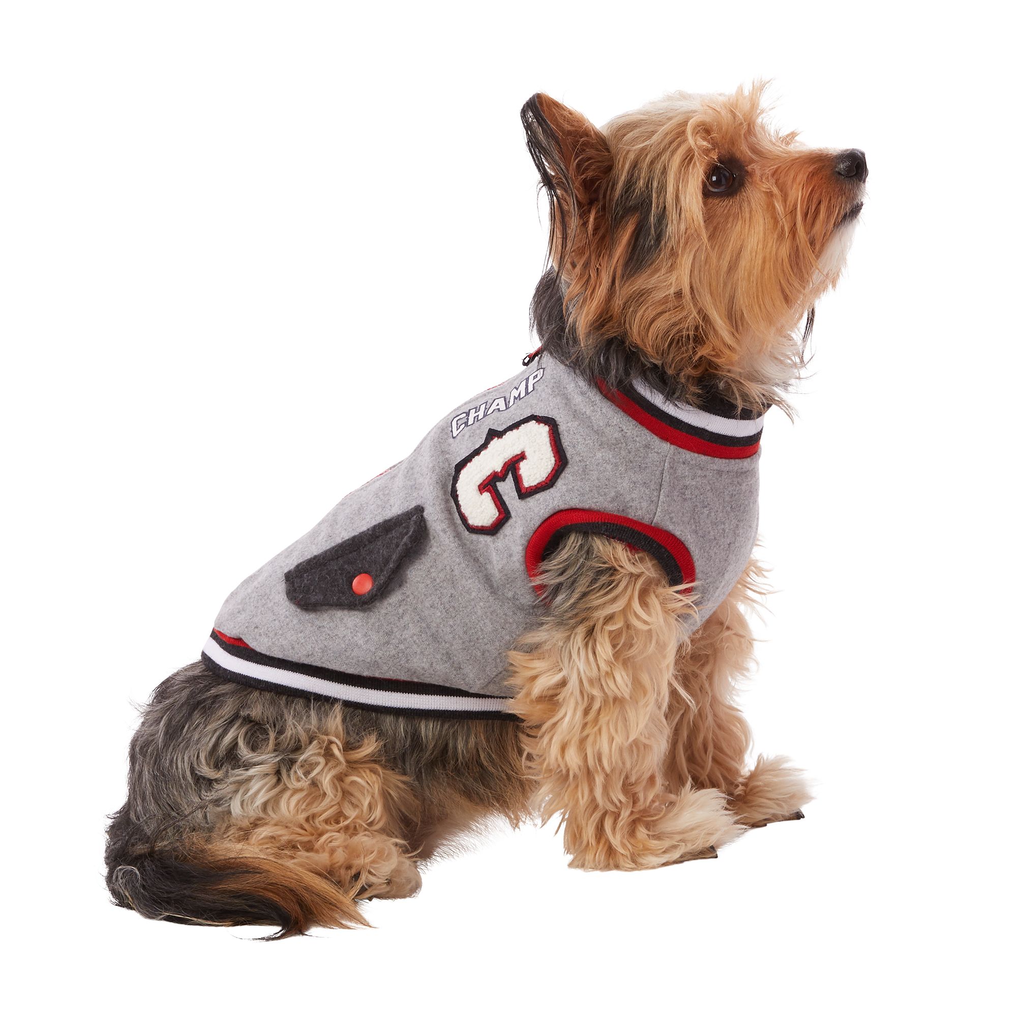 top paw dog jacket