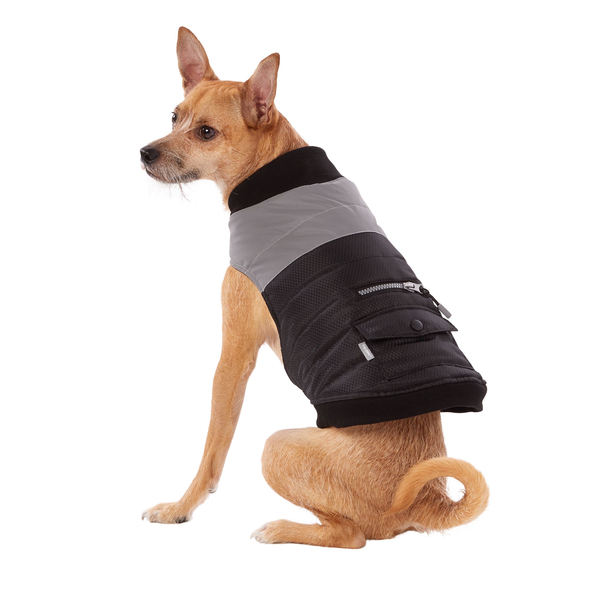 top paw dog coat