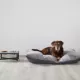 Product Top Paw® Grey Stone Top with Metal Legs Elevated Double Diner Dog Bowls