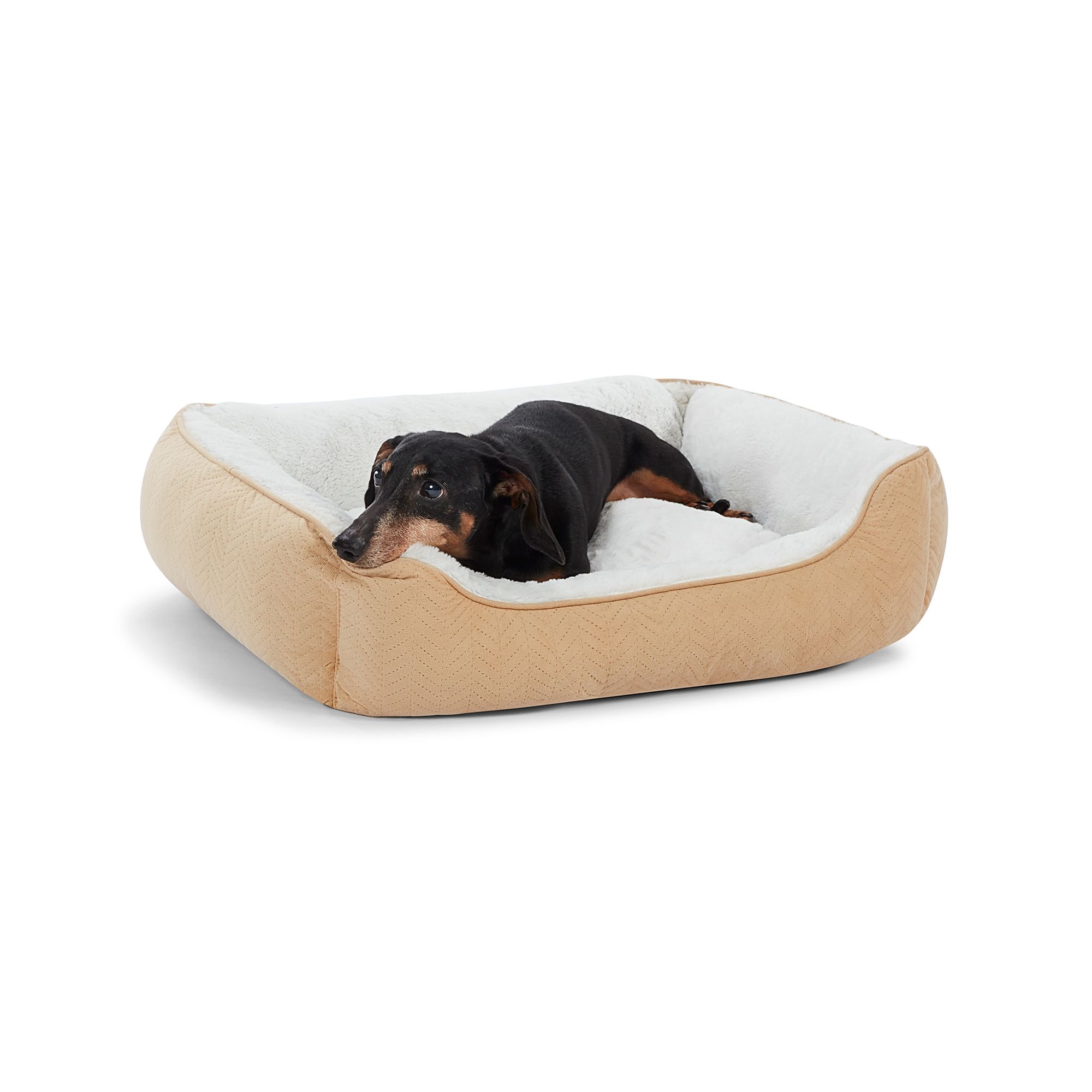 Petsmart small dog store beds