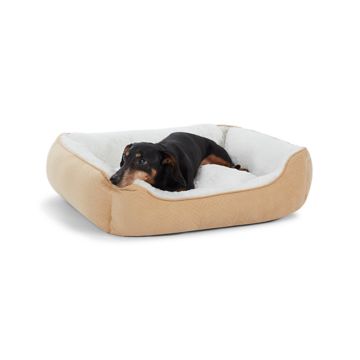 Cooling dog hotsell bed petsmart