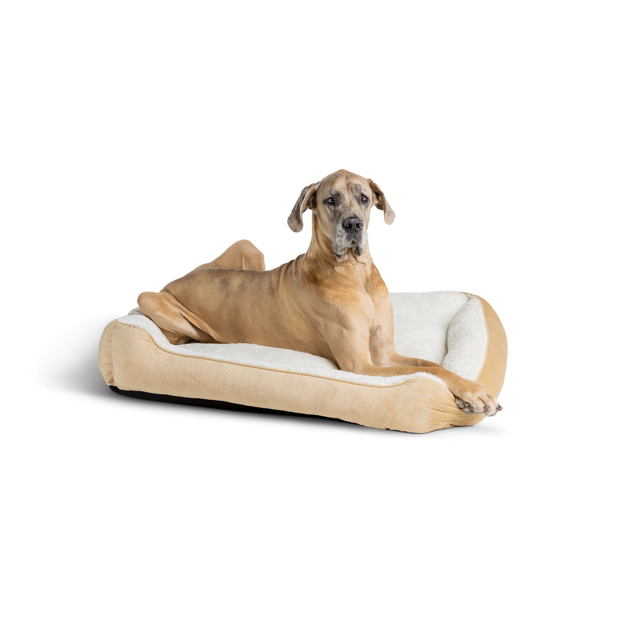 Petsmart xl hotsell dog bed