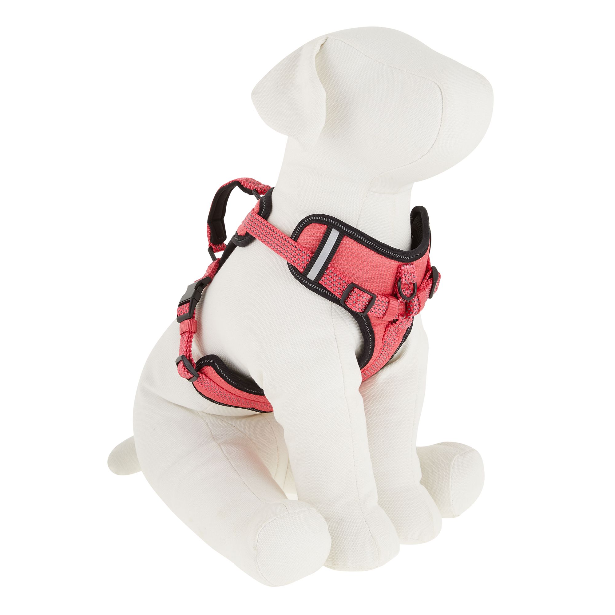 gabapentin petsmart