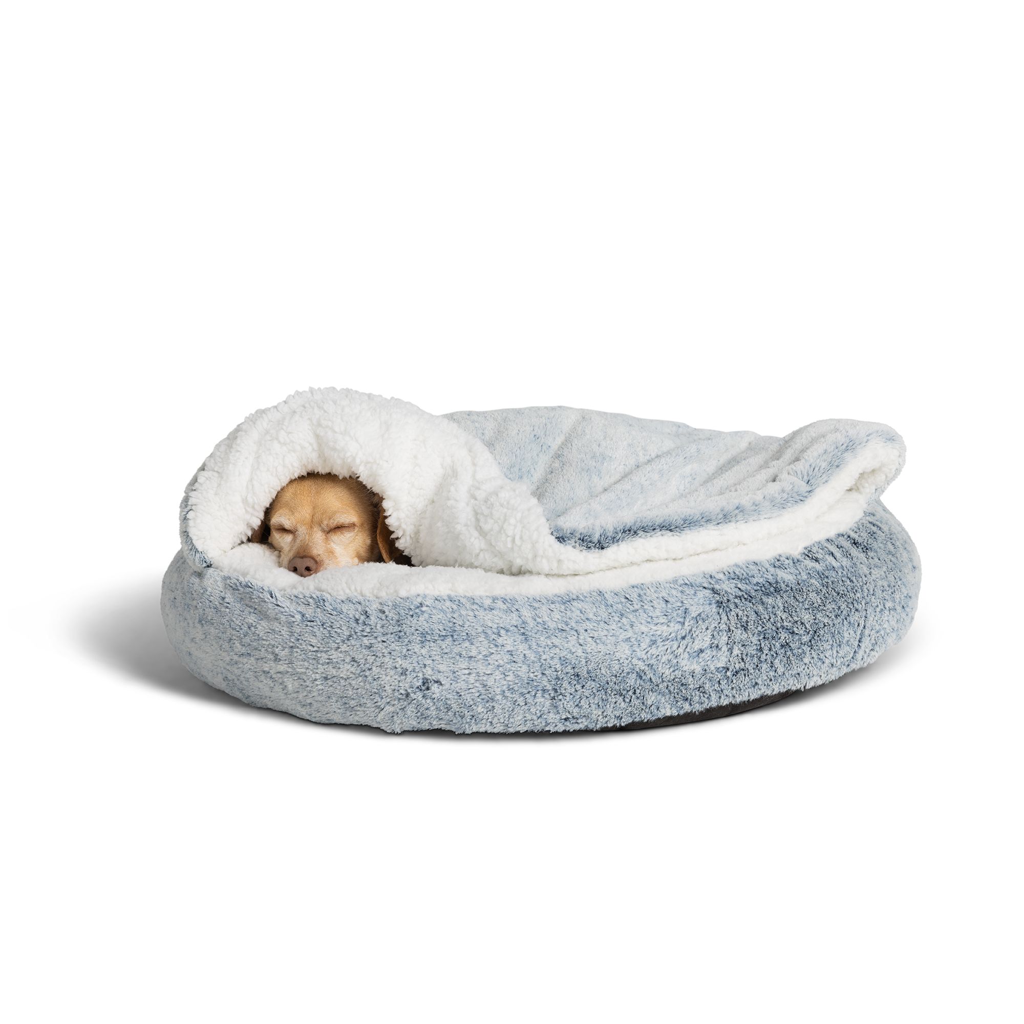 Petsmart dog beds hot sale sale