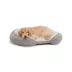 Top Paw® Orthopedic Lounger Dog Bed image thumbnail 1