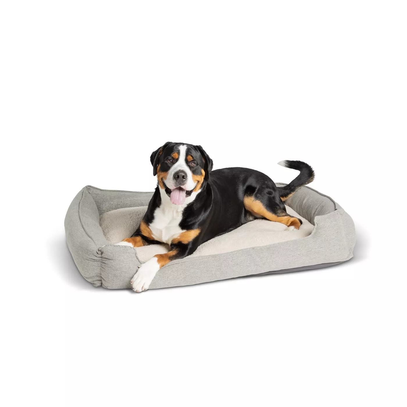 Dog large bed hotsell