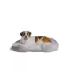 Product Top Paw® Orthopedic Lounger Dog Bed