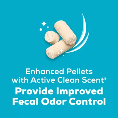 Product Purina® Tidy Cats® Breeze Enhanced Cat Litter Pellets Refill Pack - Active Clean Scent, Multi Cat