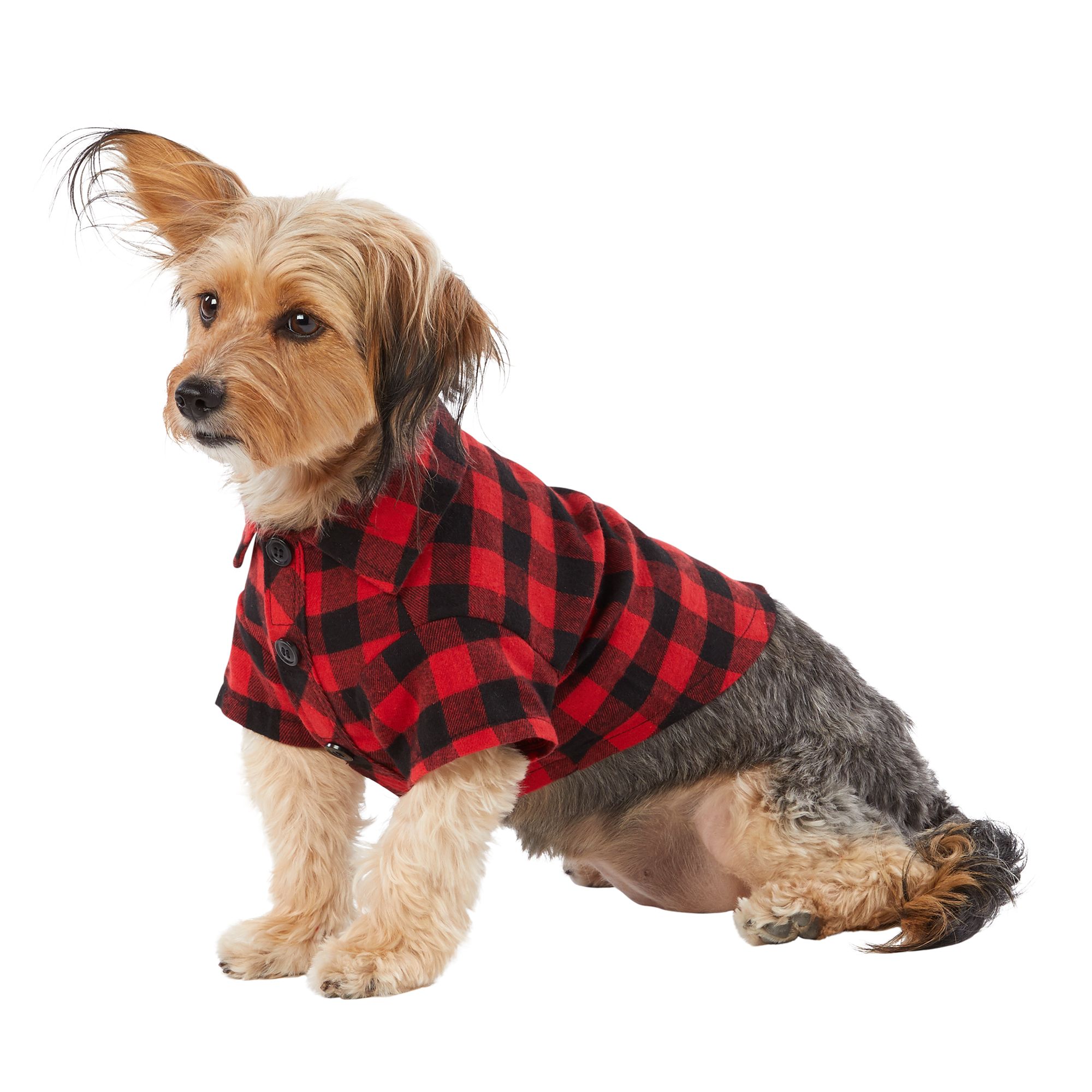 dog hawaiian shirt petsmart