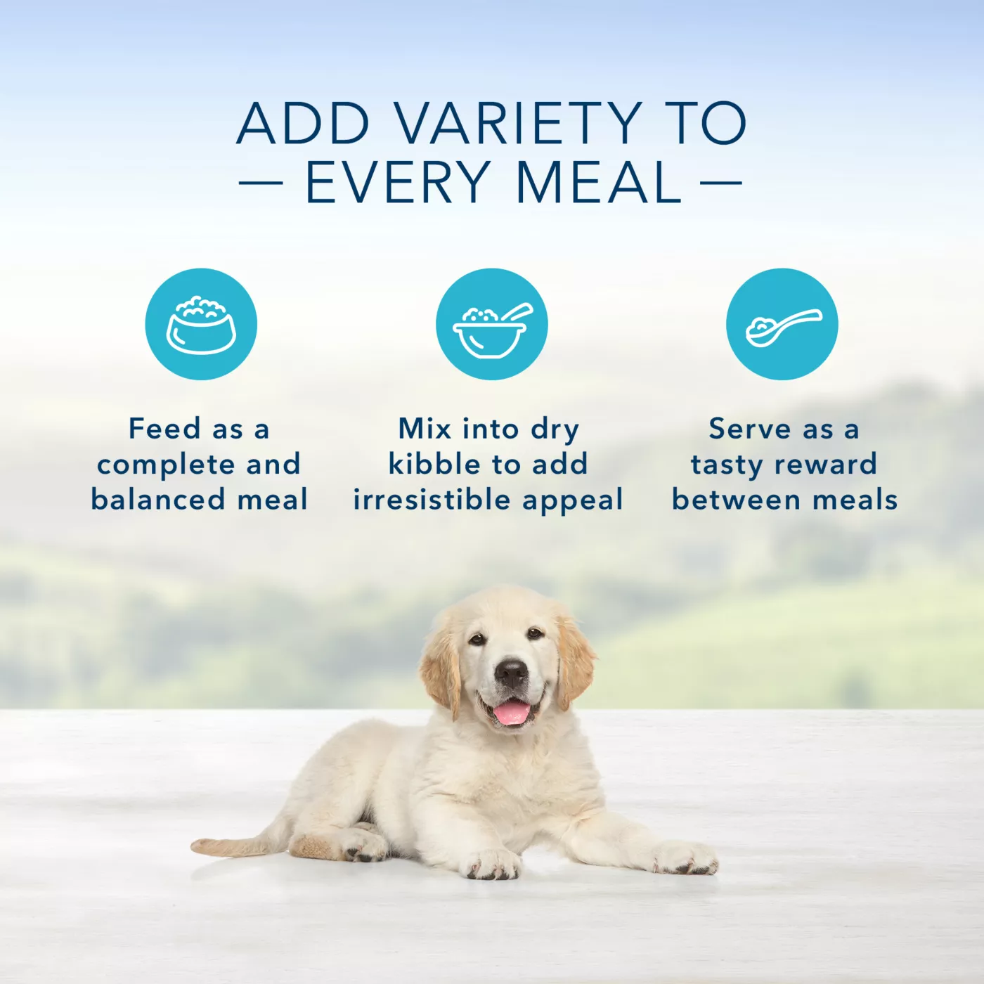 Blue Buffalo Homestyle Recipe Puppy Wet Dog Food Natural 12.5 Oz