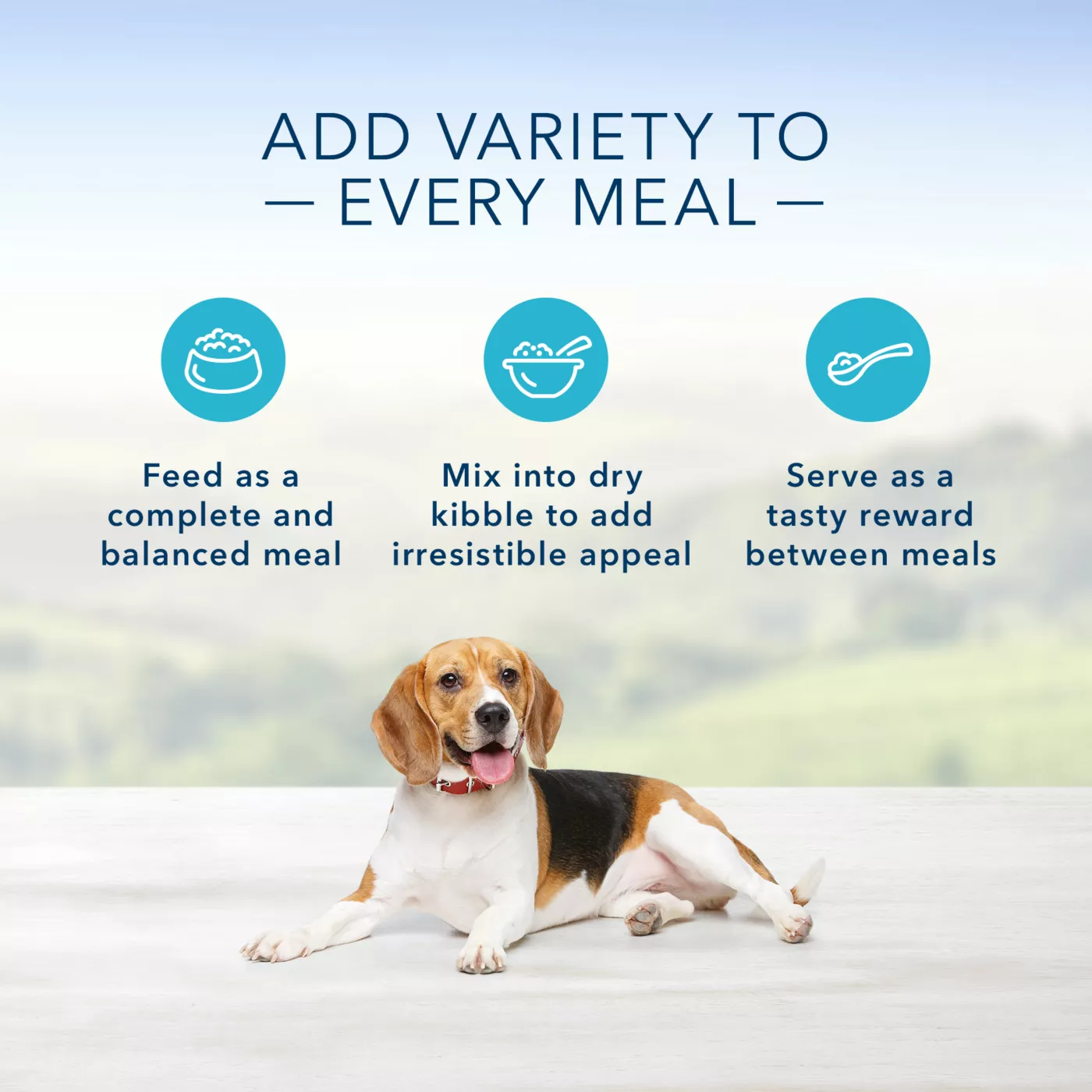 Blue collar dog food best sale