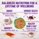 Product Wellness® Complete Health ™ Wet Cat Food Variety Pack - Pate