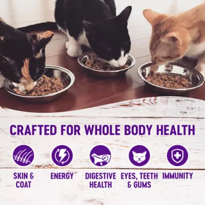 Product Wellness® Complete Health ™ Wet Cat Food Variety Pack - Pate