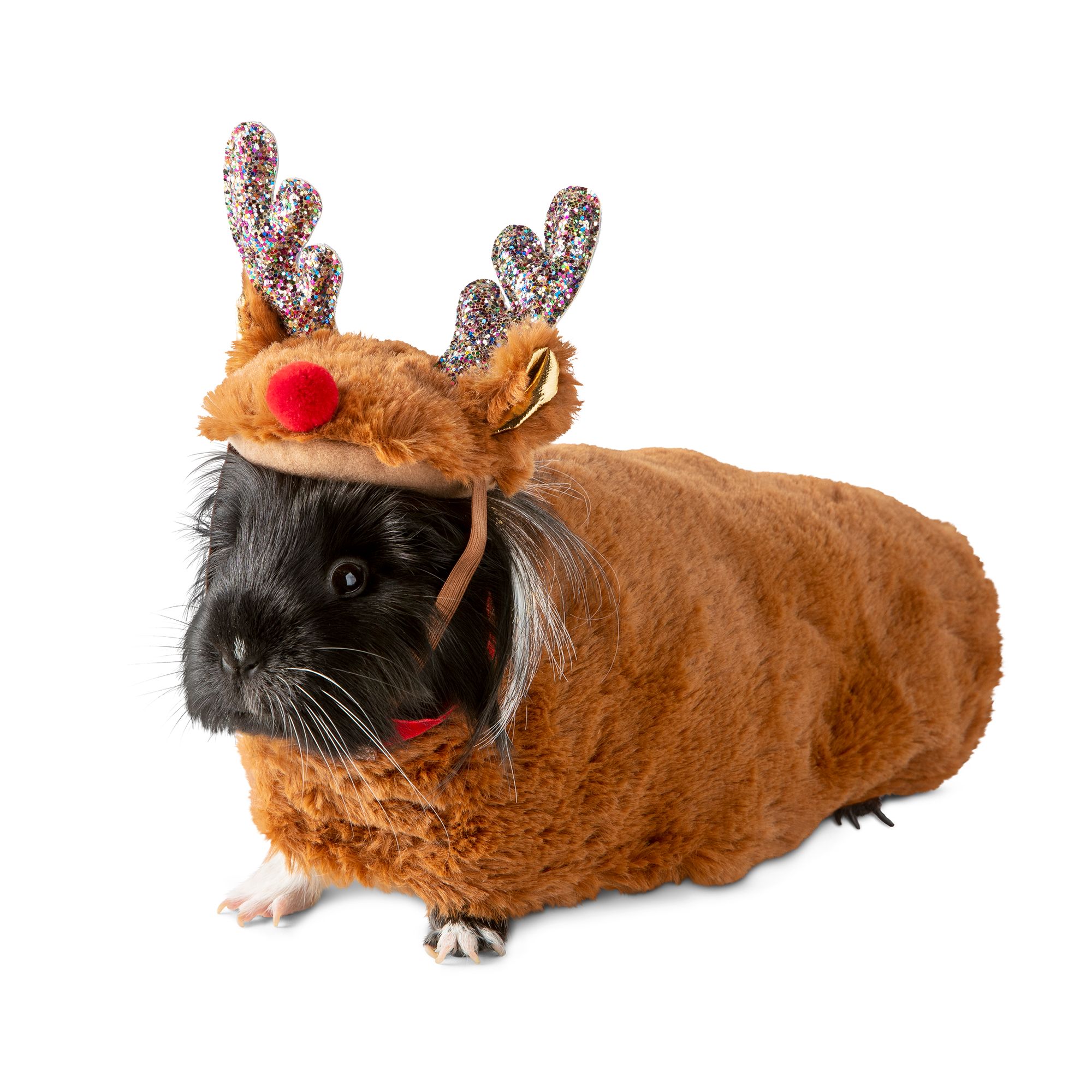 bitter yuck petsmart