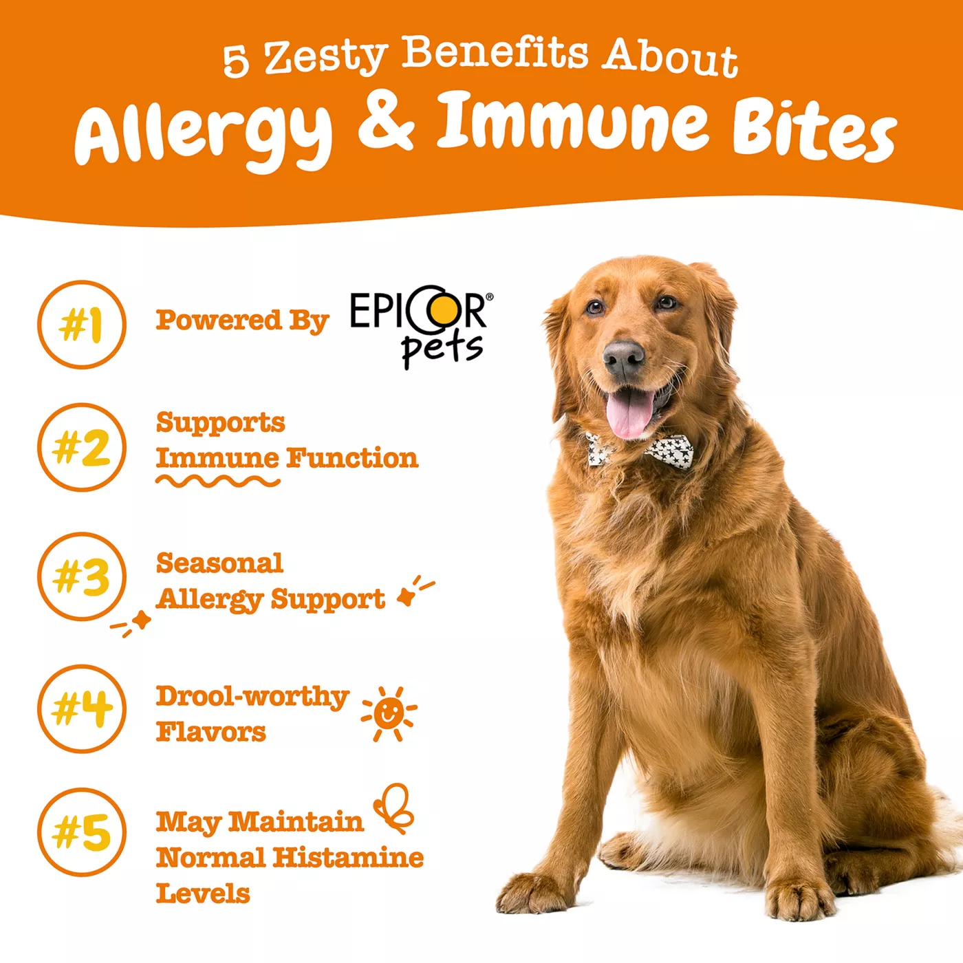 Zesty Paws Allergy Immune Bites Lamb Flavor Dog Supplements 90 ct