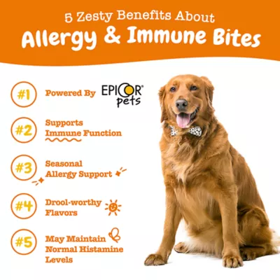 Product Zesty Paws Allergry & Immune System Supplement for Dogs - Lamb Flavored Soft Chews - 90 Count