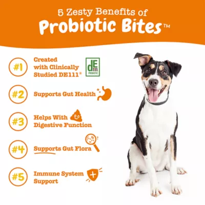 Product Zesty Paws Probiotic Supplement for Dogs - Pumpkin Flavored Soft Chews for Gut Health - 90 Count