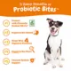 Product Zesty Paws Probiotic Supplement for Dogs - Pumpkin Flavored Soft Chews for Gut Health - 90 Count