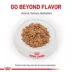 Royal Canin® Veterinary Diet Renal Support E Adult Wet Cat Food image thumbnail 2