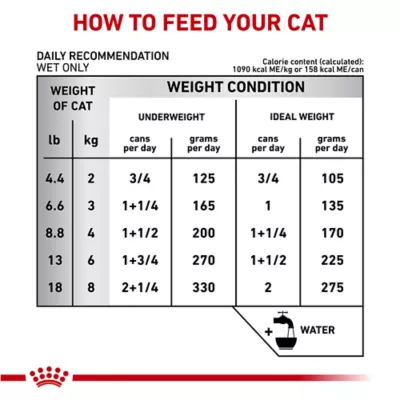 Product Royal Canin® Veterinary Diet Feline Gastrointestinal Adult Cat Loaf in Sauce Wet Food  5.1 oz can