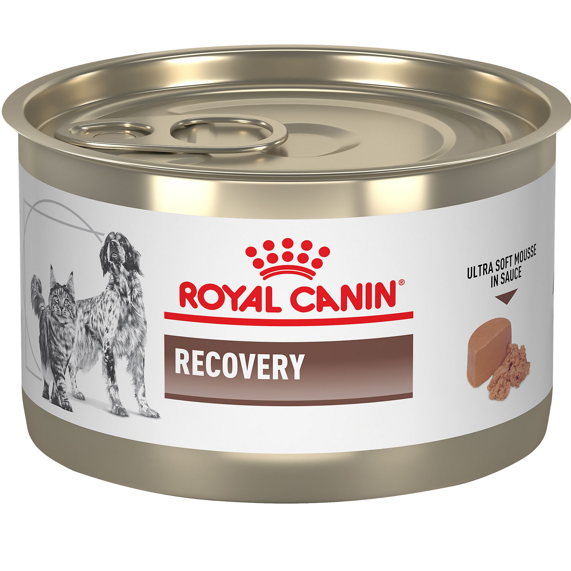 Royal Canin Veterinary Diet Recovery Adult Cat Dog Ultra Soft