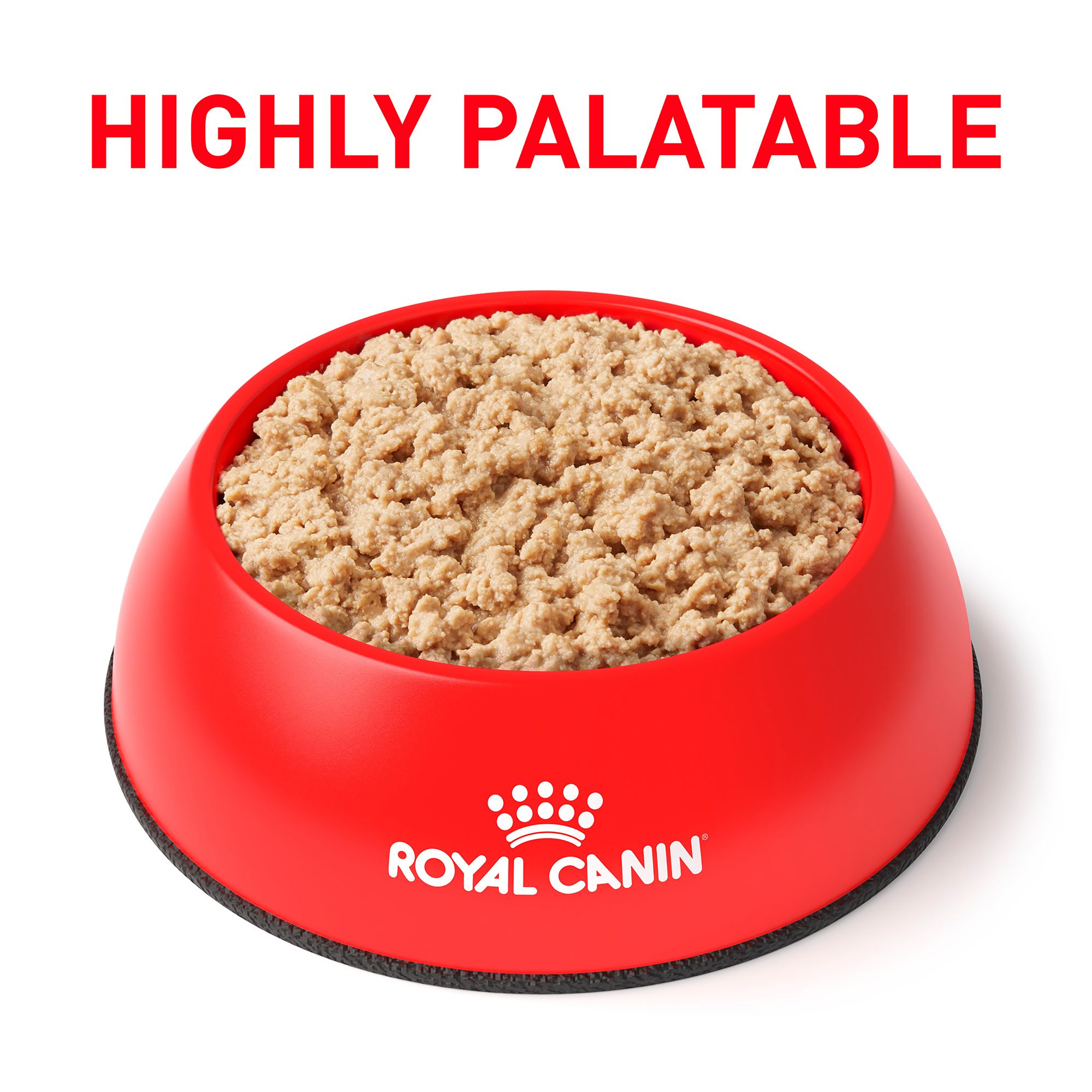 ROYAL CANIN リカバリーフード 12缶入り