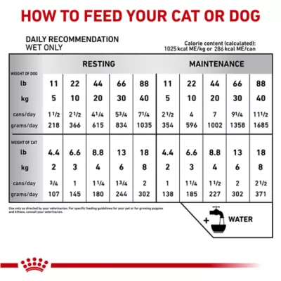 Product Royal Canin® Veterinary Diet Recovery Adult Cat & Dog Ultra Soft Mousse Wet Food  5.1 oz can