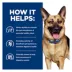 Hill's® Prescription Diet® Gastrointestinal Biome Digestive Fiber Adult Dog Food - Chicken image thumbnail 5